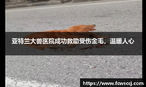 亚特兰大兽医院成功救助受伤金毛，温暖人心